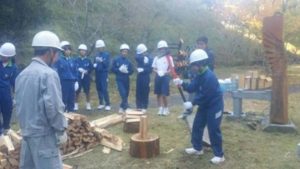 木育　木のエネルギー利用を学ぼう！