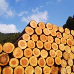 那賀高校森林クリエイト課 木材加工研修コーディネート