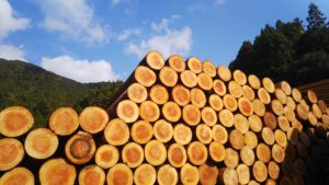 那賀高校森林クリエイト課　木材加工研修コーディネート