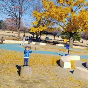 置いておくだけで遊具になる切り株