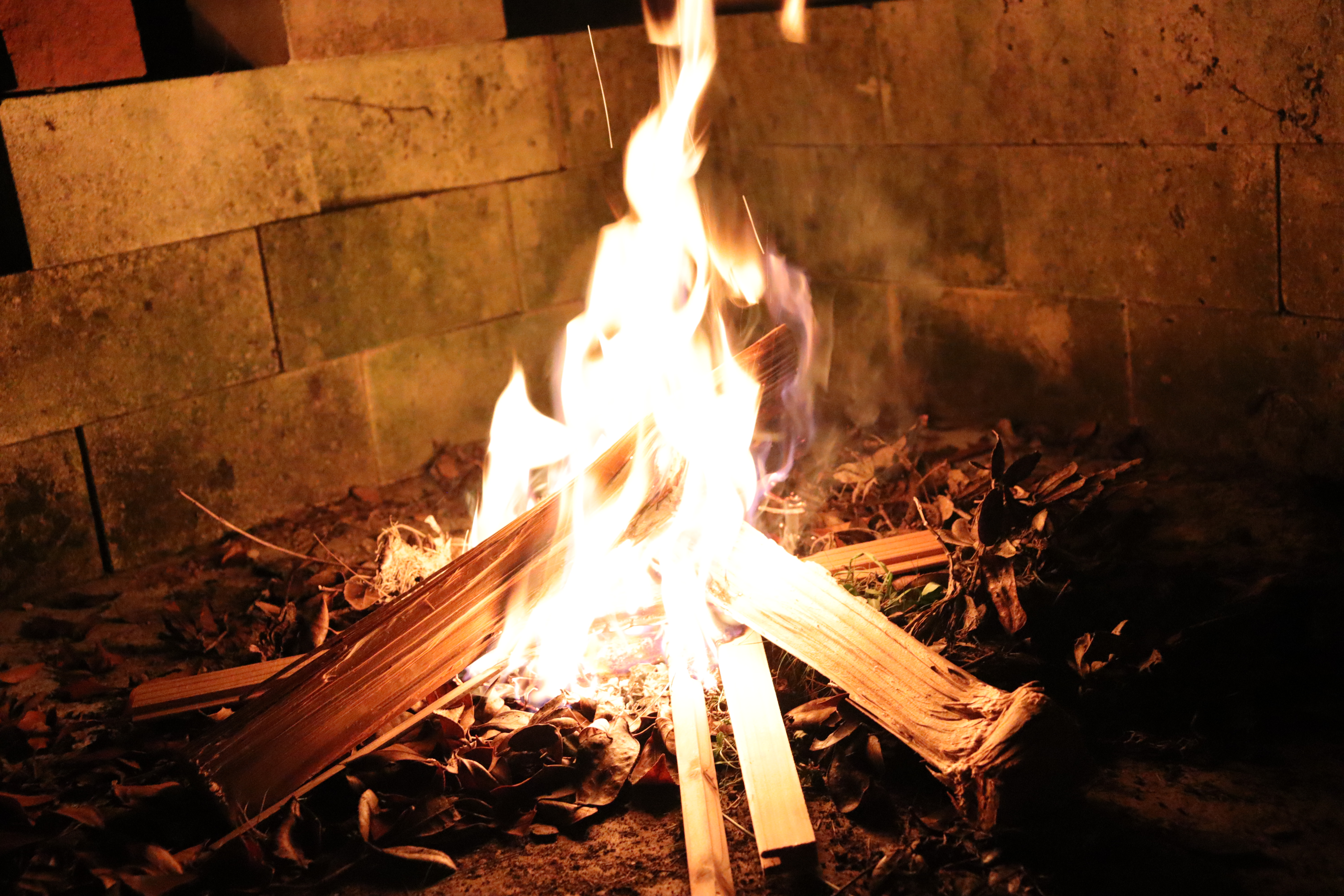 木頭杉の薪で焚き火　木は癒しの燃料