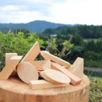 夏休み木工チャレンジ2021ムービー  とくしま杉・桧の作品も!?