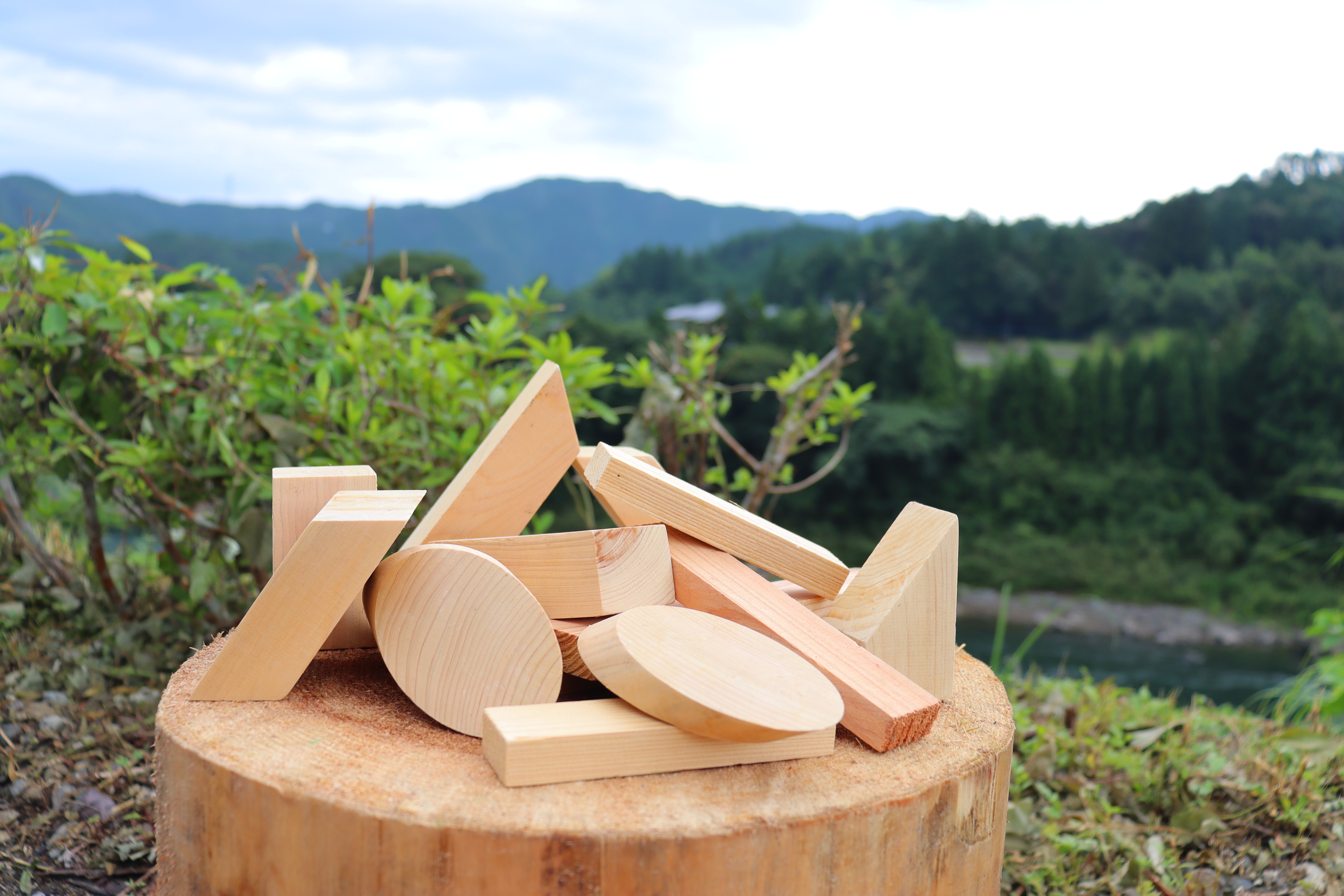 夏休み木工チャレンジ2021ムービー  とくしま杉・桧の作品も！？