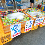 お祭りで大活躍の『木頭杉の水槽』レンタルもできます!