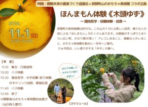 11/1(日)木頭ゆずを丸かじり？那賀町山のおもちゃ美術館ほんまもん体験
